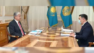 Токаеву рассказали об уникальной находке в Монголии