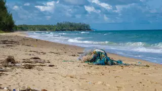 Названы главные страны - источники мусора в Тихом океане