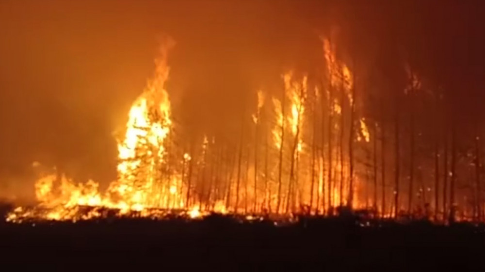 Природные пожары в Костанайской области. Кадр из видео