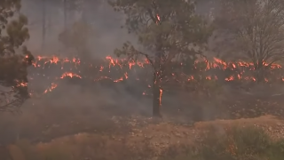 Тысячи людей эвакуированы из-за лесного пожара в Калифорнии