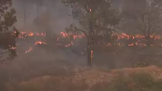 Тысячи людей эвакуированы из-за лесного пожара в Калифорнии