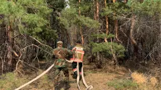 Сенаторы перечислят однодневную зарплату пострадавшим в пожаре в Костанайской области