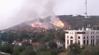 Пожар на Кок-Тобе в Алматы ликвидирован - ДЧС