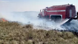 Степь горит в Павлодарской области