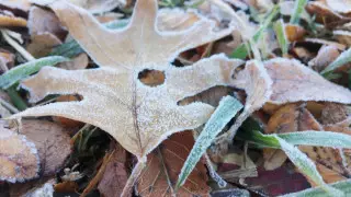 Сильные дожди и заморозки: погода на выходные в Казахстане
