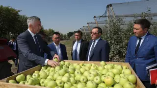 Новую систему реализации сельхозтоваров разработали в Алматинской области