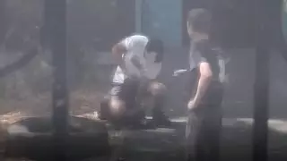 Алматинец душил и бил собаку на глазах у соседей