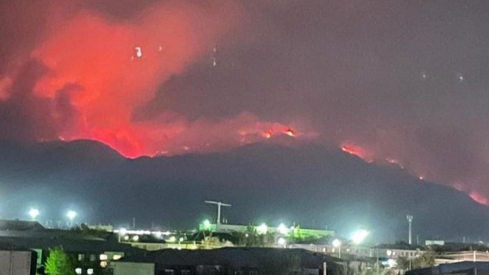Третьи сутки не могут потушить пожар в горах Жетысуской области