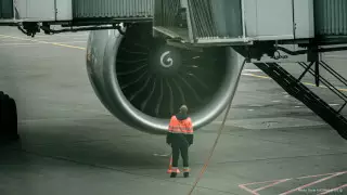 Почему птицы часто врезаются в самолеты в аэропорту Алматы