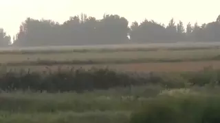 11 тысяч гектаров земли вернули государству в Жетысуской области