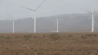 Восьмая ветряная электростанция открылась в Алматинской области