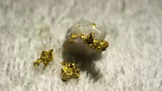 Акмолинец добывал золото в собственном сарае