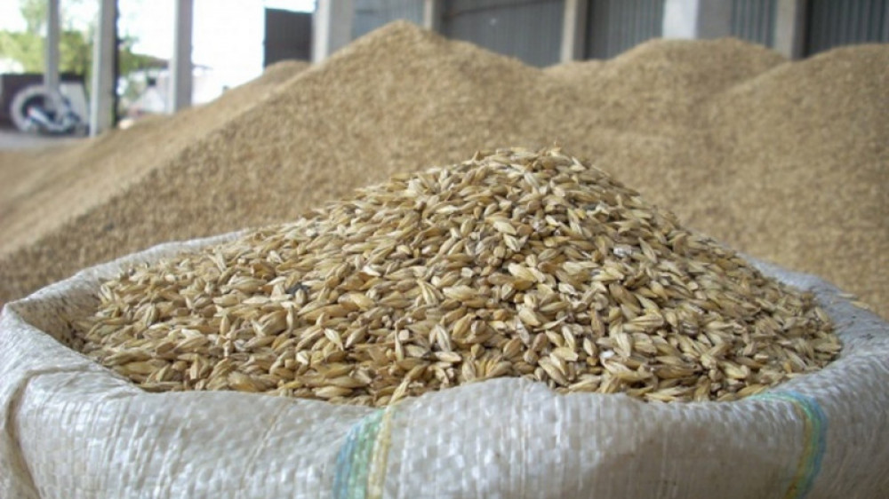 Ограничения на экспорт зерна и муки сняты с 14 сентября в Казахстане