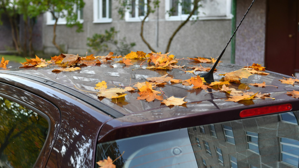 Эксперт рассказал автовладельцам, на что обратить внимание осенью