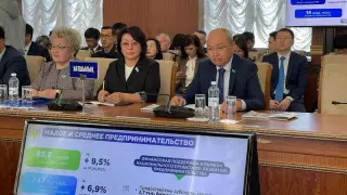 Более 2700 бизнес-проектов получили поддержку в Карагандинской области