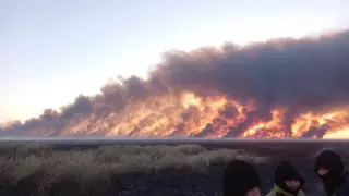 Горящий камыш в окрестностях Атырау тушат с помощью вертолета