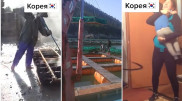 "До слез". Соцсети тронуло видео казахстанца о заработках в Корее