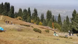 "Вы зачем в горы ходите?" Алматинцы возмутились поведением туристов на Кок-Жайлау