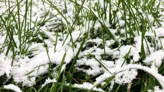 Похолодание до минус 10 градусов прогнозируют в Казахстане