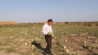 Фермер из Атырауской области обеспечил село кормом для скота