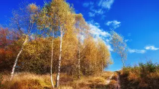 Тепло вернется в Казахстан