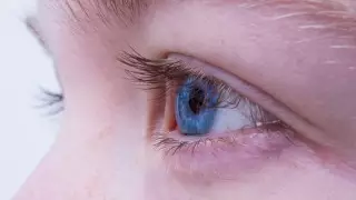 Все голубоглазые люди на планете являются потомками одного человека – ученые