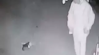 Мужчина прыгнул на голову котенка в Актау. Жестокие кадры попали на видео