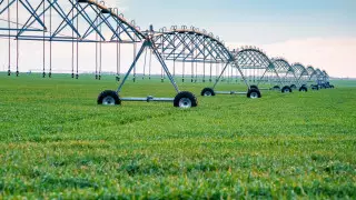 Увеличить средства на орошение земель в Павлодарской области поручил Токаев