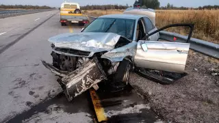 Осел спровоцировал смертельную аварию в Жетысу