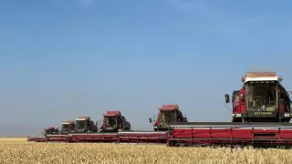 5 миллионов тонн зерна собрали в Костанайской области