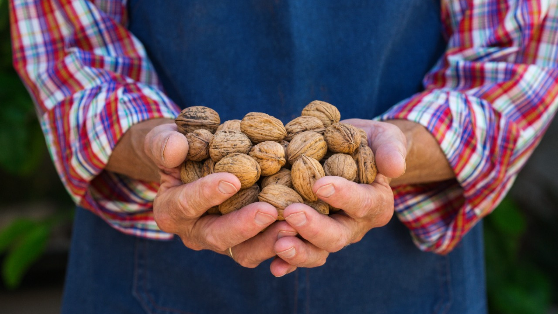 Врач перечислил самые полезные орехи для мужчин: 08 октября 2022, 12:44 - новости на Tengrinews.kz