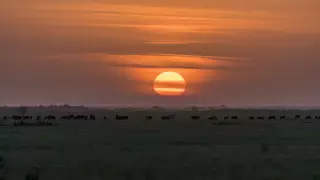 "Не мог двигаться из-за боли": подросток сутки провел в степи в Актюбинской области