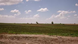 Возврат земель: 33 участка вернули государству