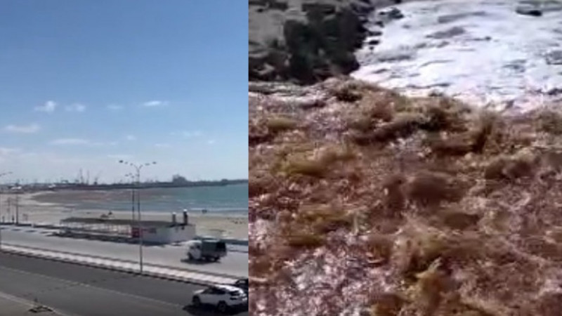 Бурая вода в Каспий. Фото: кадры из видео