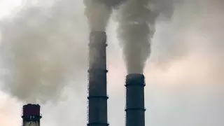 "Это позор": Грета Тунберг рассказала об ошибке Германии