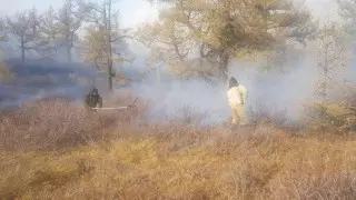 Лесной пожар в ВКО локализован