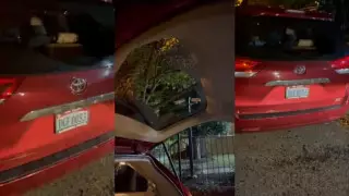 В Вашингтоне обстреляли автомобиль посольства Азербайджана