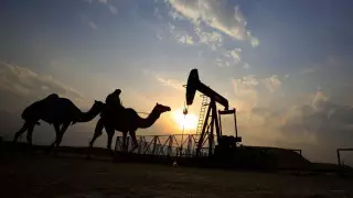 Кувейт, Бахрейн, Оман и Ирак поддержали решение сократить добычу нефти