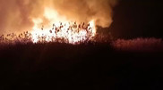 Загорелся камыш. Крупный пожар в шаге от жилых домов произошел в Семее