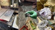 Карагандинцев задержали с полутонной драгоценных камней из степи и наличными