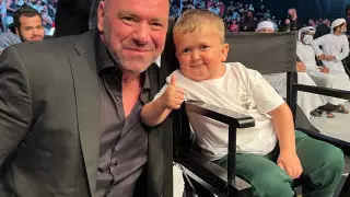 "Даст ему по шее". Президент UFC с юмором высказался о бое Хасбика с Макгрегором