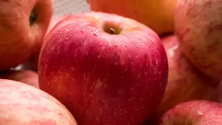 Алматинские яблоки могут стать национальным брендом - Токаев