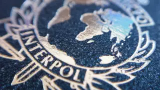 Интерпол вернул в Казахстан женщину из Южной Кореи