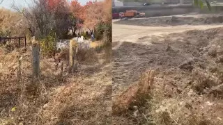 Строительство ЖК на месте старого кладбища прокомментировал аким Алматы