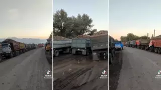 Сахарный завод в Мерке не принимает свеклу: ситуацию объяснили в акимате