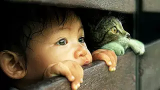 Трогательное объявление разместил в подъезде юный житель Актау