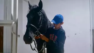 Центр иппотерапии открыли в Астане