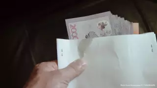 Страны СНГ договорились выдавать беглых коррупционеров друг другу