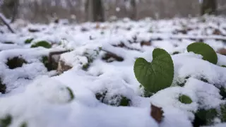 Морозы до 25 градусов: какой будет погода в ноябре в Казахстане