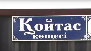 "Оказались в лабиринте". Проблемы жителей Каскелена пообещали решить